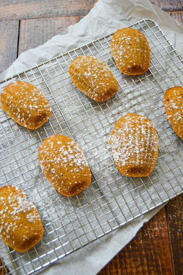 Brown Butter Pumpkin Madeleines | www.thehungrytravelerblog.com