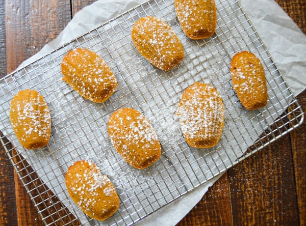 Brown Butter Pumpkin Madeleines | www.thehungrytravelerblog.com