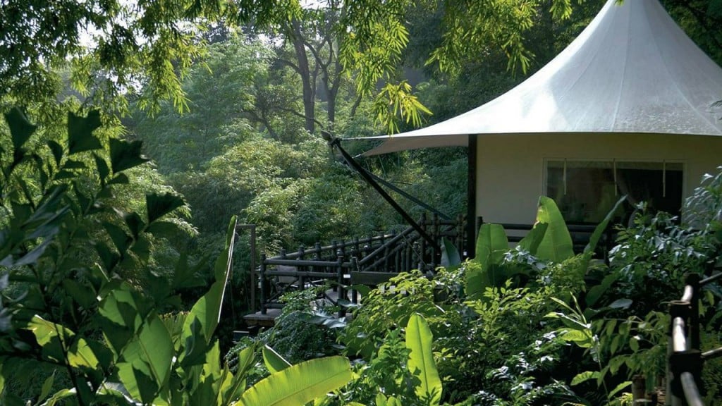 Tented accommodations at the Four Seasons Golden Triangle #thailand #travel #asia #hotels