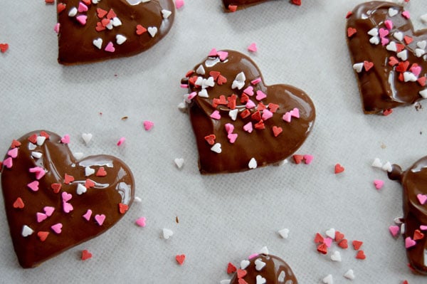 Lebkuchen German Gingerbread Cookies