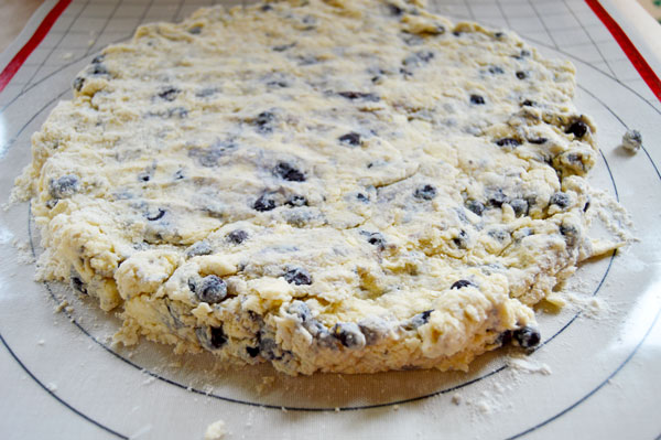 Blueberry Lemon Buttermilk Scones - moist, tender, and just barely sweet.  These come together quickly and are perfect for a weekend breakfast or brunch! | www.thehungrytravelerblog.com