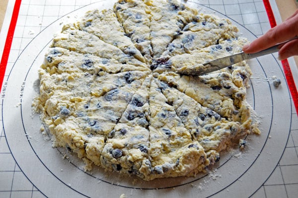 Blueberry Lemon Buttermilk Scones - moist, tender, and just barely sweet.  These come together quickly and are perfect for a weekend breakfast or brunch! | www.thehungrytravelerblog.com