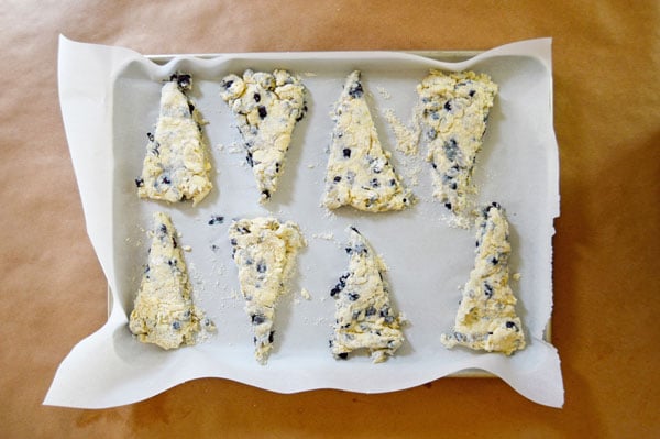 Blueberry Lemon Buttermilk Scones - moist, tender, and just barely sweet.  These come together quickly and are perfect for a weekend breakfast or brunch! | www.thehungrytravelerblog.com