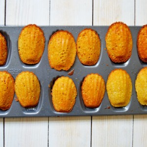 French Madeleines - the classic French tea cake with brown butter, lemon zest, vanilla, and a touch of honey. | www.thehungrytravelerblog.com