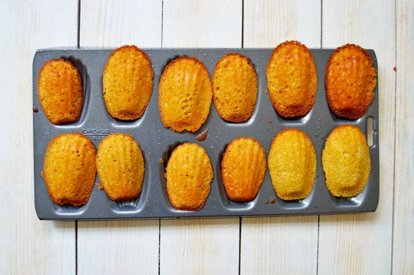 French Madeleines - the classic French tea cake with brown butter, lemon zest, vanilla, and a touch of honey. | www.thehungrytravelerblog.com