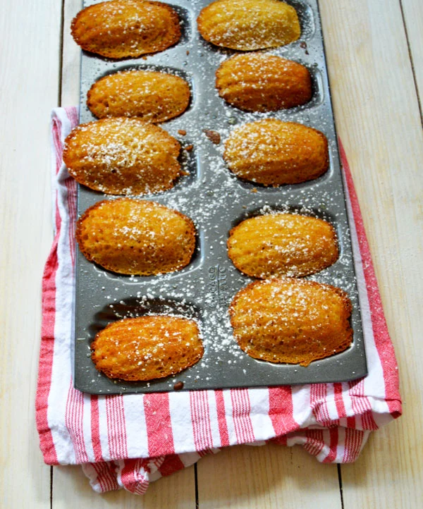 French Madeleines - the classic French tea cake with brown butter, lemon zest, vanilla, and a touch of honey. | www.thehungrytravelerblog.com