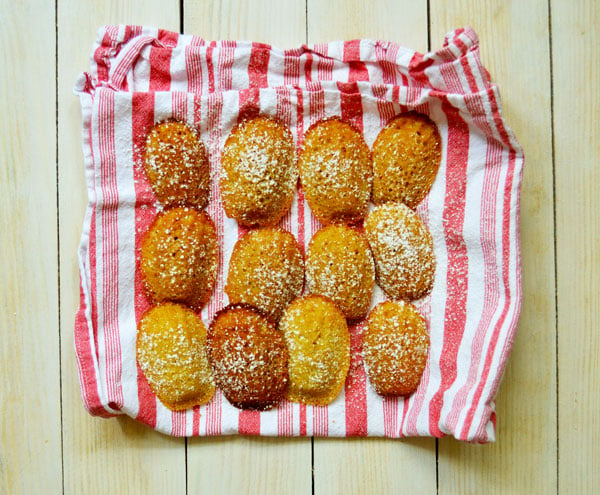 French Madeleines - the classic French tea cake with brown butter, lemon zest, vanilla, and a touch of honey. | www.thehungrytravelerblog.com