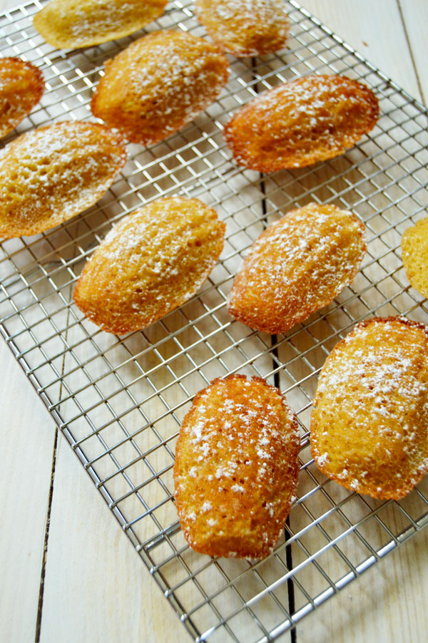 French Madeleines - the classic French tea cake with brown butter, lemon zest, vanilla, and a touch of honey. | www.thehungrytravelerblog.com