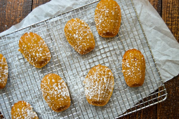 Brown Butter Pumpkin Madeleines | www.thehungrytravelerblog.com