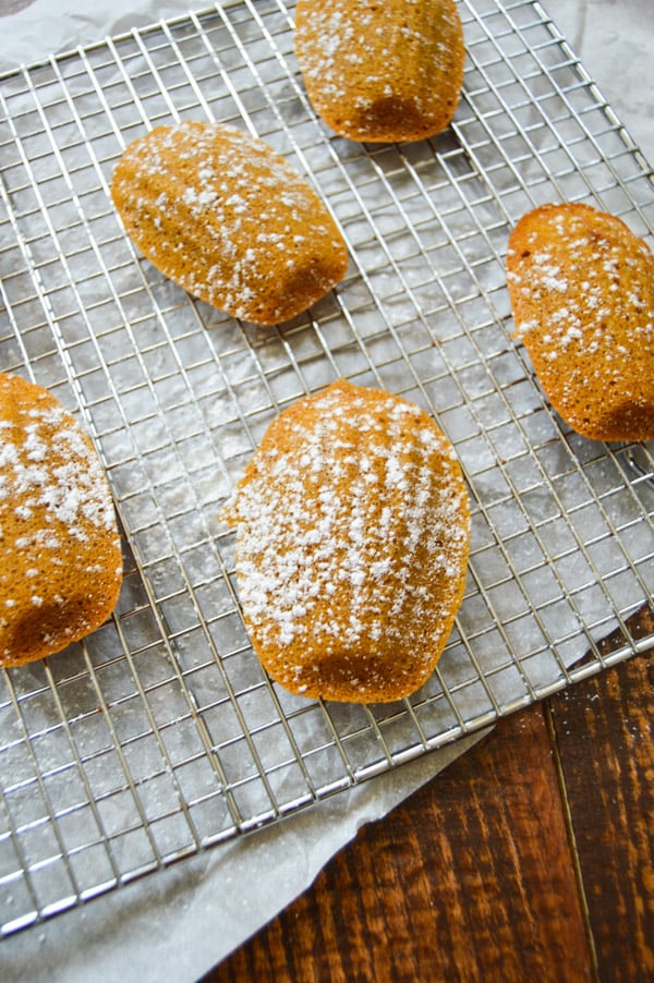 Brown Butter Pumpkin Madeleines | www.thehungrytravelerblog.com