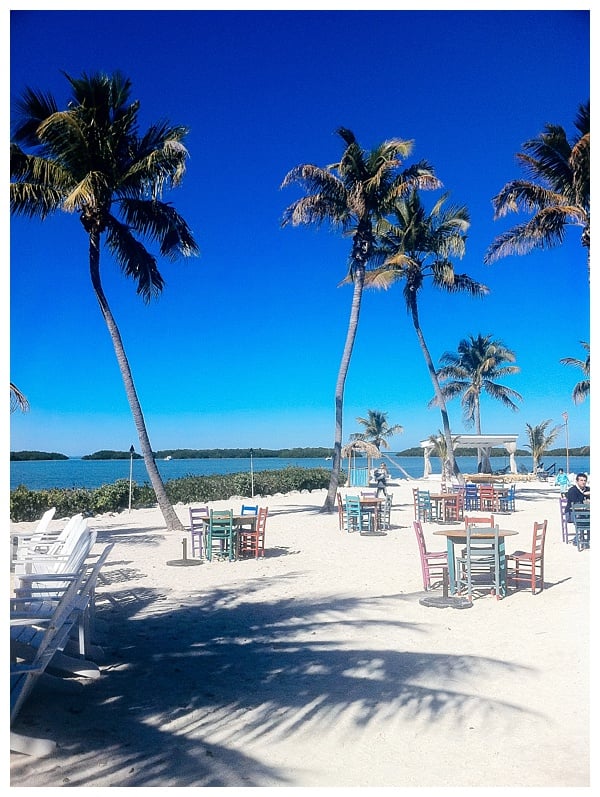 Morada Bay Beach Cafe | Where to Eat in Islamorada 