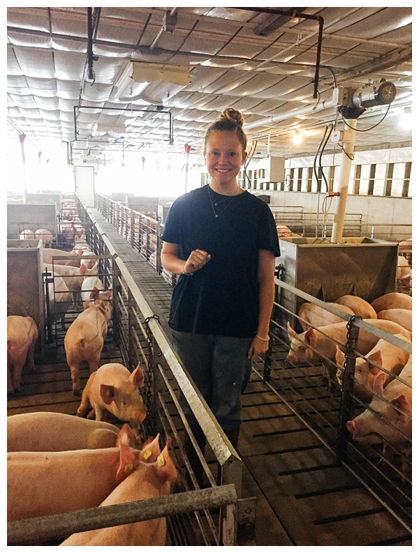 Ohio Pig Farm Visit in Clinton County, Ohio