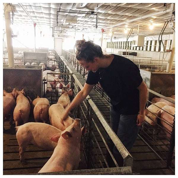 Meet the Modern Farmer: Peculiar Pig Farm - Modern Farmer