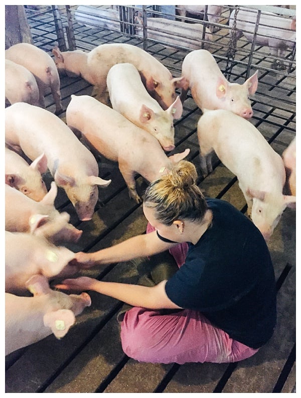 Ohio Pig Farm Visit in Clinton County, Ohio