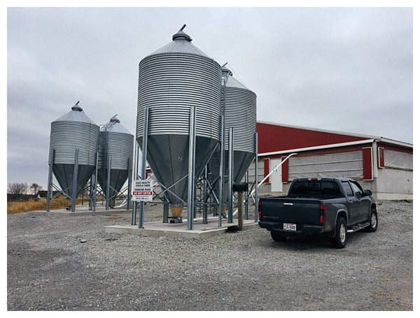 Ohio Pig Farm Visit in Clinton County, Ohio