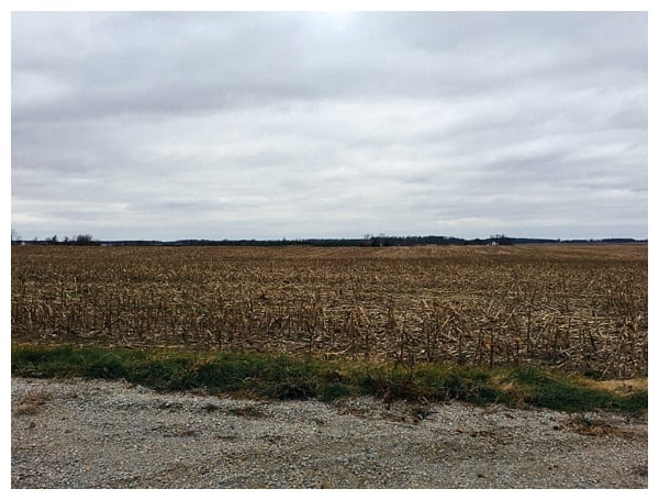 Ohio Pig Farm Visit in Clinton County, Ohio