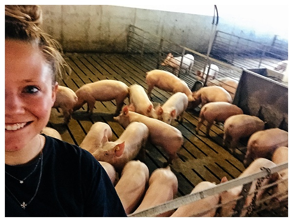 Ohio Pig Farm Visit in Clinton County, Ohio